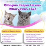 Lowongan Pochi Pet Store