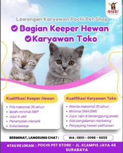 Lowongan Pochi Pet Store