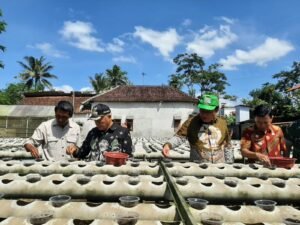 Apresiasi Atas Inovasi Pertanian Didapatkan Oleh Petani Hidroganik
