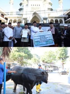 Sapi Pemberian Presiden Prabowo, Di Saluran kan Langsung Oleh Walikota Malang