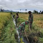 TNI Turun Sawah! Kodim 0417 Bantu Petani Olah Lahan di Sungai Penuh