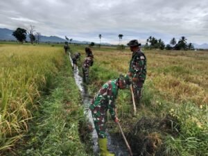 TNI Turun Sawah! Kodim 0417 Bantu Petani Olah Lahan di Sungai Penuh