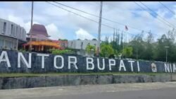 Miris Di Sela-Sela Efesiensi Anggaran, Pemerintah Kabupaten Nias Utara Sisihkan Anggaran Untuk Pengadaan Mobil Dinas Berkelas
