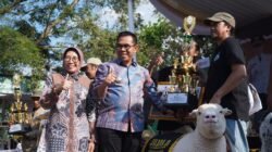 Perdana di Kota Batu, Kontes Kambing dan Domba se-Jawa Timur Tampilkan Bibit Unggul