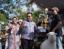 Perdana di Kota Batu, Kontes Kambing dan Domba se-Jawa Timur Tampilkan Bibit Unggul