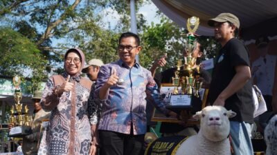 Perdana di Kota Batu, Kontes Kambing dan Domba se-Jawa Timur Tampilkan Bibit Unggul