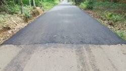 Jalan Masih Mulus Ikut Diaspal, Kinerja Dinas PUPR Tanjabtim Dipertanyakan