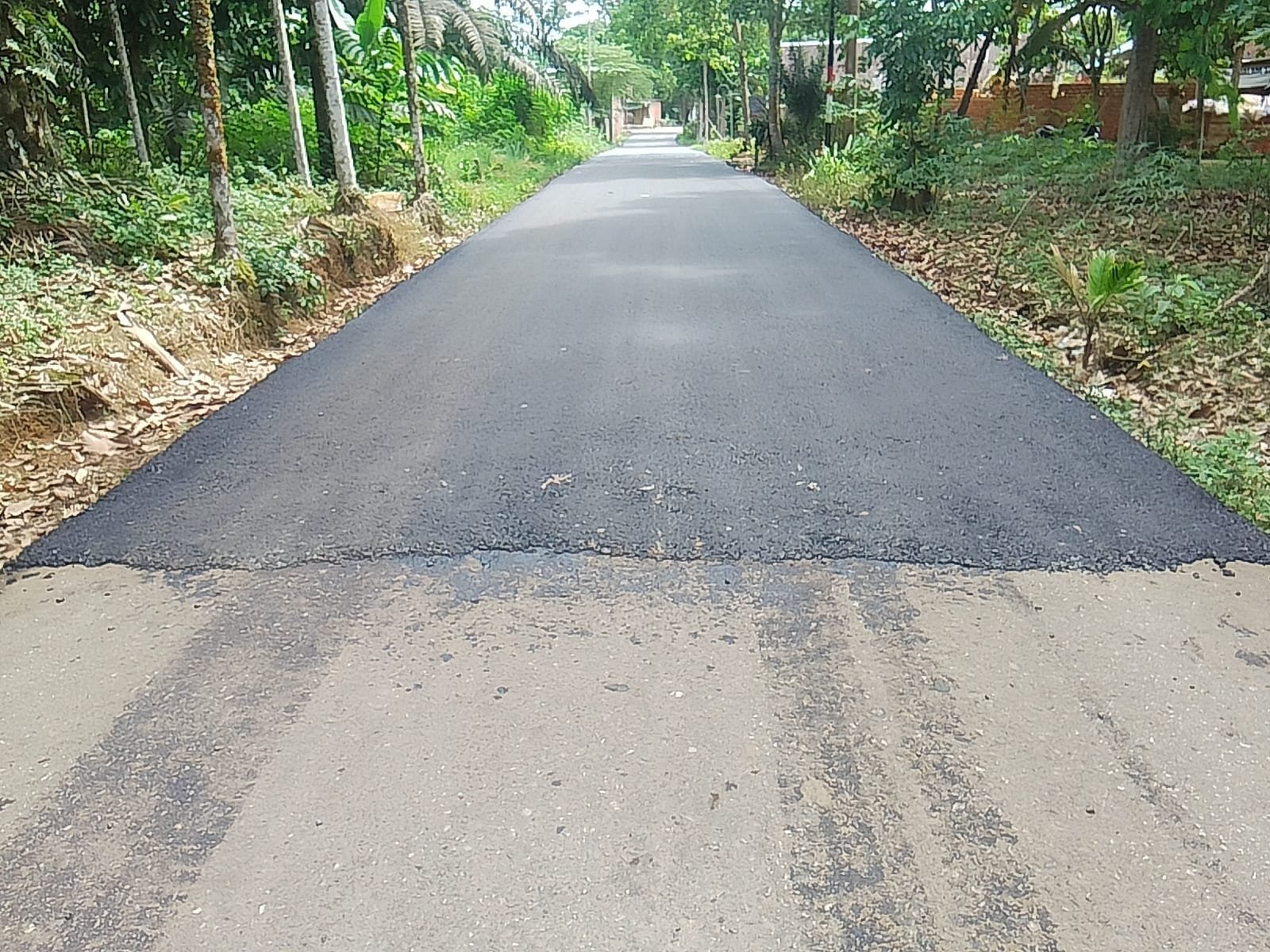 Jalan Masih Mulus Ikut Diaspal, Kinerja Dinas PUPR Tanjabtim Dipertanyakan