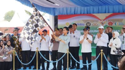 Tanam Serentak, 1.268 Ton Jagung Dilepas Polri untuk Bulog