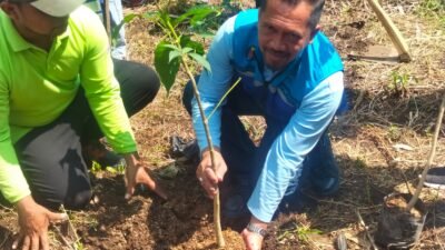 Gerakkan Peduli Lingkungan, 1.000 Pohon Ditanam di Kawasan TPA Supit Urang