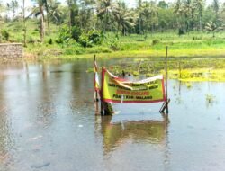 Puluhan Tahun Mandiri, Warga Putukrejo Tolak Proyek SPAM yang Dinilai Ancam Sumber kehidupan