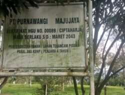 Dugaan Penyerobotan Tanah Desa oleh Perkebunan Purnawangi, Camat Cipatat Angkat Bicara