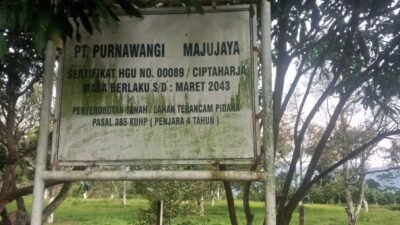 Dugaan Penyerobotan Tanah Desa oleh Perkebunan Purnawangi, Camat Cipatat Angkat Bicara