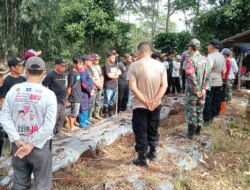 Penanaman Jagung Hibrida di Desa Cibingbin Digenjot untuk Perkuat Ketahanan Pangan