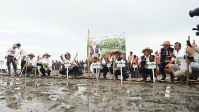 Khofifah dan Kaka Slank tanam Mangrove di Bangkalan