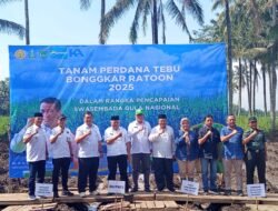 Dorong Swasembada Gula, Bupati Malang Pimpin Kegiatan Bongkar Ratoon di Lahan Tebu