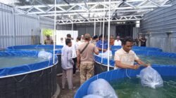 Pelepasan Bibit Ikan: Memperkuat Ketahanan Pangan dan Ekonomi Desa Sukarara