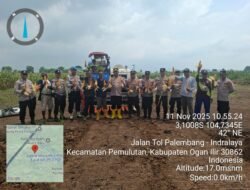 Polres ogan ilir dan Polsek Pemulutan Ogan Ilir Panen Jagung Program Ketahanan Pangan di Desa Muara Baru