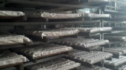 Abdurrahman Bahrudin, Direktur Utama PT. Bahrudin Semesta Jaya, Dorong Program Makan Bergizi Gratis di Lamongan