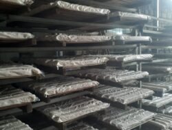 Abdurrahman Bahrudin, Direktur Utama PT. Bahrudin Semesta Jaya, Dorong Program Makan Bergizi Gratis di Lamongan