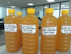 Jamu Kunyit Asam Putra Putri Kembar Kembali Jadi Tren , Khasiatnya Dibuktihkan Secara Ilmiah