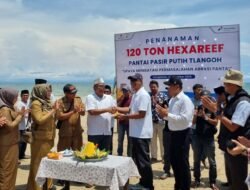Tanam Hexa Reef, PHE WMO Lestarikan Pesisir dan Dongkrak Pariwisata di Bangkalan