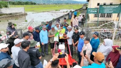 Konsisten Majukan Pertanian, Bupati Monadi Tanam Padi Bersama Warga dan Serahkan Alsintan di Kemantan Raya