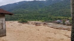 Dua Rumah Wartawan SWI Hanyut, Ribuan Warga Mengungsi Akibat Banjir Bandang di Beutong Ateuh Banggalang