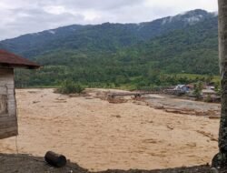 Dua Rumah Wartawan SWI Hanyut, Ribuan Warga Mengungsi Akibat Banjir Bandang di Beutong Ateuh Banggalang
