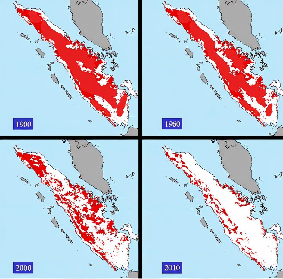 Tragedi Sumatera! Ketika Hutan Hilang, Bencana Tak Terelakkan