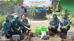 Ketua Tim Penggerak PKK Pemprov Jatim Arumi Bachsin, Pantau Giat Petik Hasil Program Kampung PKK Kelurahan Kemayoran Bangkalan