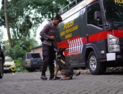 Mengenal Alice, Si Pahlawan K9 Polres Malang yang Siap Hadapi Bencana Alam