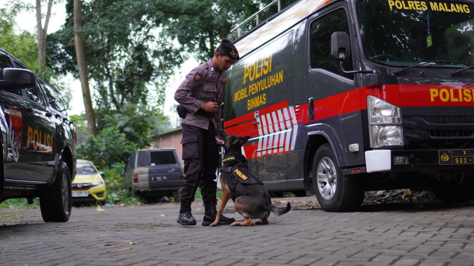 Mengenal Alice, Si Pahlawan K9 Polres Malang yang Siap Hadapi Bencana Alam
