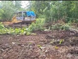 Canangkan Ekonomi Hijau Melalui Tanam tebu jelang Munas SWI 2026