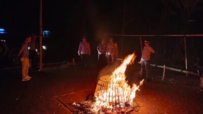 Arena Judi Sabung Ayam di Sapu Bersih Polres Malang