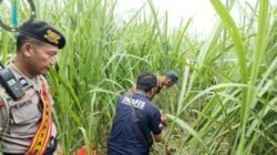 PAGI INI!! DITEMUKAN MAYAT DI MERTOYUDAN MAGELANG TINGGAL KERANGKA PERNAH DINYATAKAN HILANG