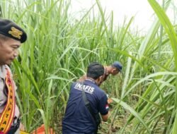 PAGI INI!! DITEMUKAN MAYAT DI MERTOYUDAN MAGELANG TINGGAL KERANGKA PERNAH DINYATAKAN HILANG