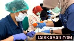 KPKP Jakpus, Mensterilisasi 166 Kucing Jantan di Johar Baru