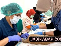 KPKP Jakpus, Mensterilisasi 166 Kucing Jantan di Johar Baru