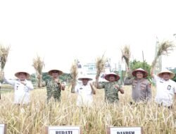 Padi Unggul HKTI Dipanen Perdana, Pemkab Malang Beri Dukungan