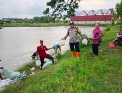 Sinergi Polri dan Pemerintah Desa, Penebaran Benih Ikan di Embung Sidomukti Perkuat Ketahanan Pangan