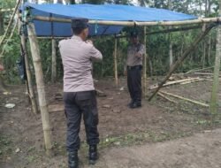 Tindak Lanjuti Laporan Polres Malang Bongkar Lokasi Sabung Ayam