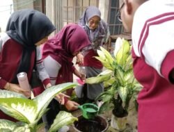 Warga dan Pemerintah Pasbar Bersatu Lawan Penyakit DBD