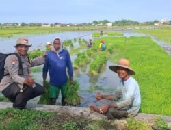 Melalui Program Andalan Peddal Kamtibmas, Mas Bhabin Sidomukti Pererat Sinergi Polri dan Sahabat Tani