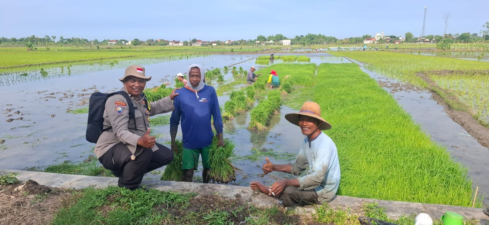Melalui Program Andalan Peddal Kamtibmas, Mas Bhabin Sidomukti Pererat Sinergi Polri dan Sahabat Tani.