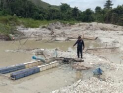 Ketua FPII Bakal Surati Kejati dan Kapolda Riau, Soroti Dugaan Pembiaran Aset Kebun Pemda Kuansing