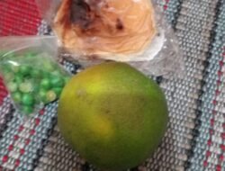 MBG di SMP & SMA Dharma Wanita 1 Gedangan Disorot, Wali Murid Minta Bupati dan Wakil Bupati Sidoarjo Turun Tangan