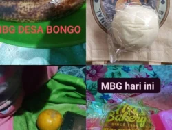 Wali Murid Pertanyakan Kelayakan Menu MBG di Semarang dan Sekitarnya