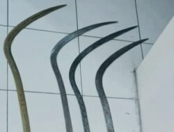 Live Tawuran di Medsos Digagalkan Polisi, Tiga Pemuda Diamankan di Mungkid