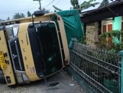 Diduga Sopir Mengantuk, Truk Mitsubishi Terguling di Desa Jake